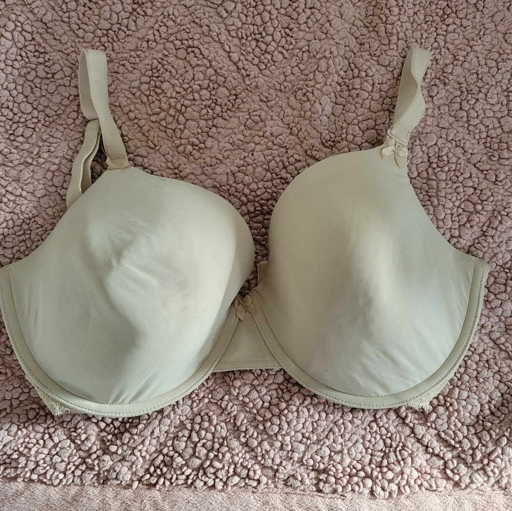 Underwire Lined Paramour T-shirt Bra 34H